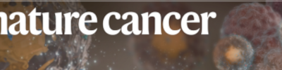 New study finds SX-682 leads to “unprecedented” response and cures in pancreatic cancer models